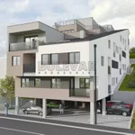 Rasadnik, Palilula, Gradske lokacije, Niš | 4zida.rs | 4zida.rs