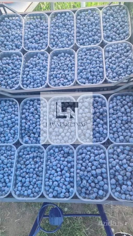 Poljoprivredno zemljište | 4zida