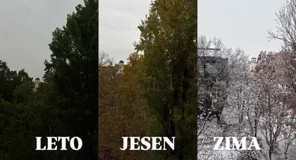 Bulevar Jovana Dučića 6 | 4zida.rs