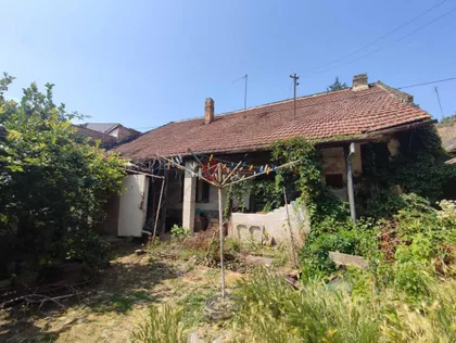 Centar 1 | 4zida.rs