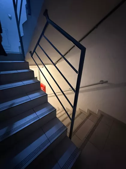 Luja Pastera | 4zida.rs