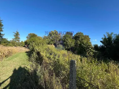 Međunarodni Put | 4zida.rs