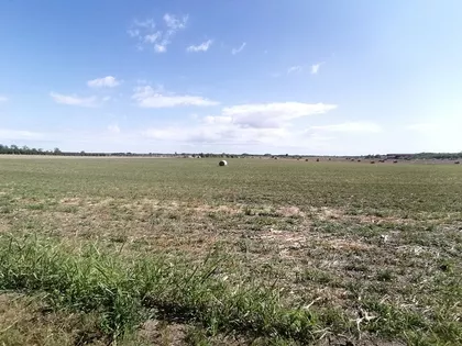 Mali Radanovac | 4zida.rs