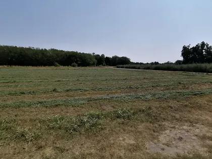 Palić | 4zida.rs