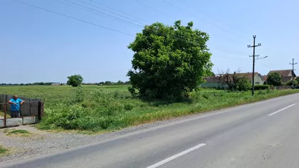 Glušci | 4zida.rs