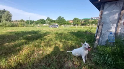 Josipa Čikoša 39 | 4zida.rs