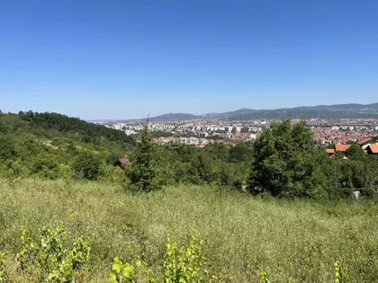 Delijski Vis | 4zida.rs