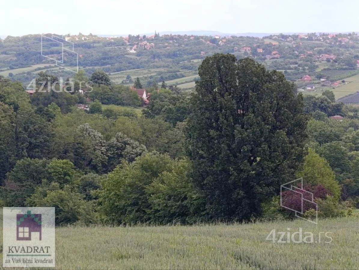 Plac | 4zida