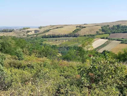 Čerević | 4zida.rs