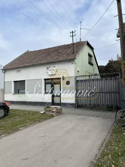 Salajka | 4zida.rs