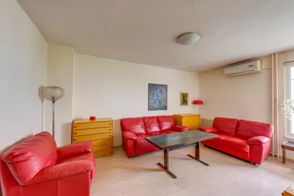 Dr Ivana Ribara | 4zida.rs