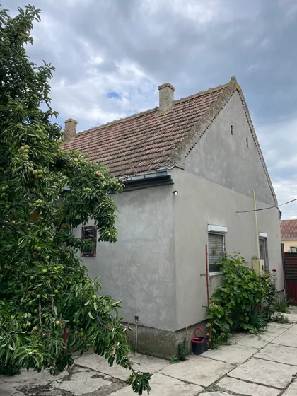 Zeleni Sokak 29 | 4zida.rs