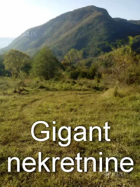 Plac | 4zida