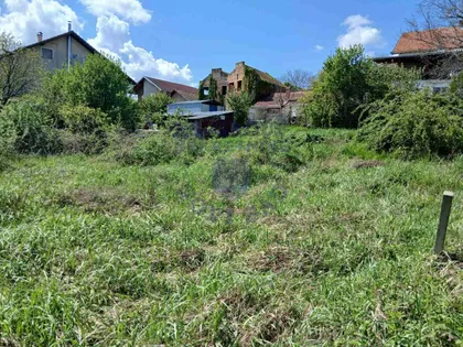Alibegovac | 4zida.rs