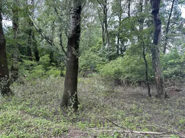Progar