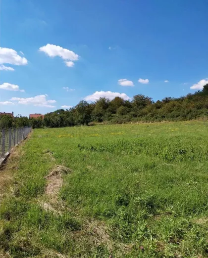 Bore Todorovića | 4zida.rs