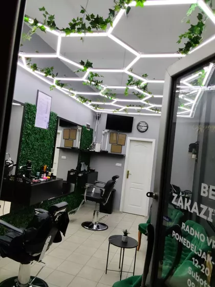 Dr Svetislava Kasapinovića | 4zida.rs