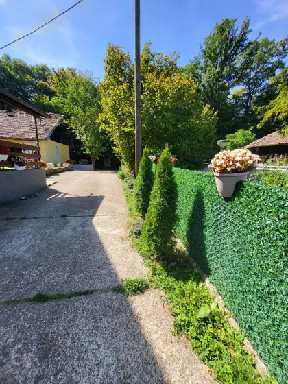 Dositejeva | 4zida.rs