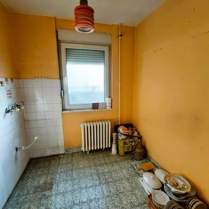 Vojvode Stepe | 4zida.rs