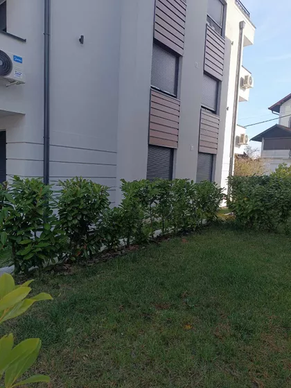 Desanke Maksimović 5 | 4zida.rs