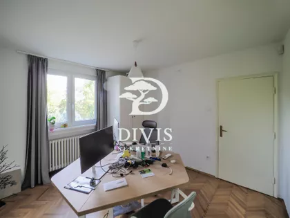 Vase Pelagića | 4zida.rs