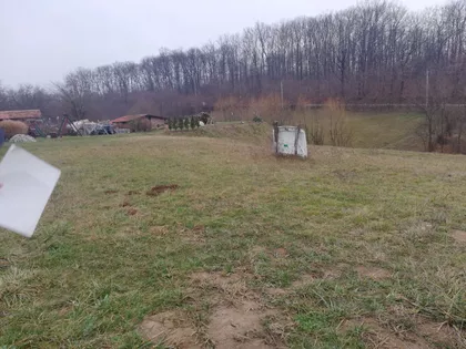 Nemanjina | 4zida.rs