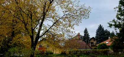 Dositeja Obradovića 16 | 4zida.rs