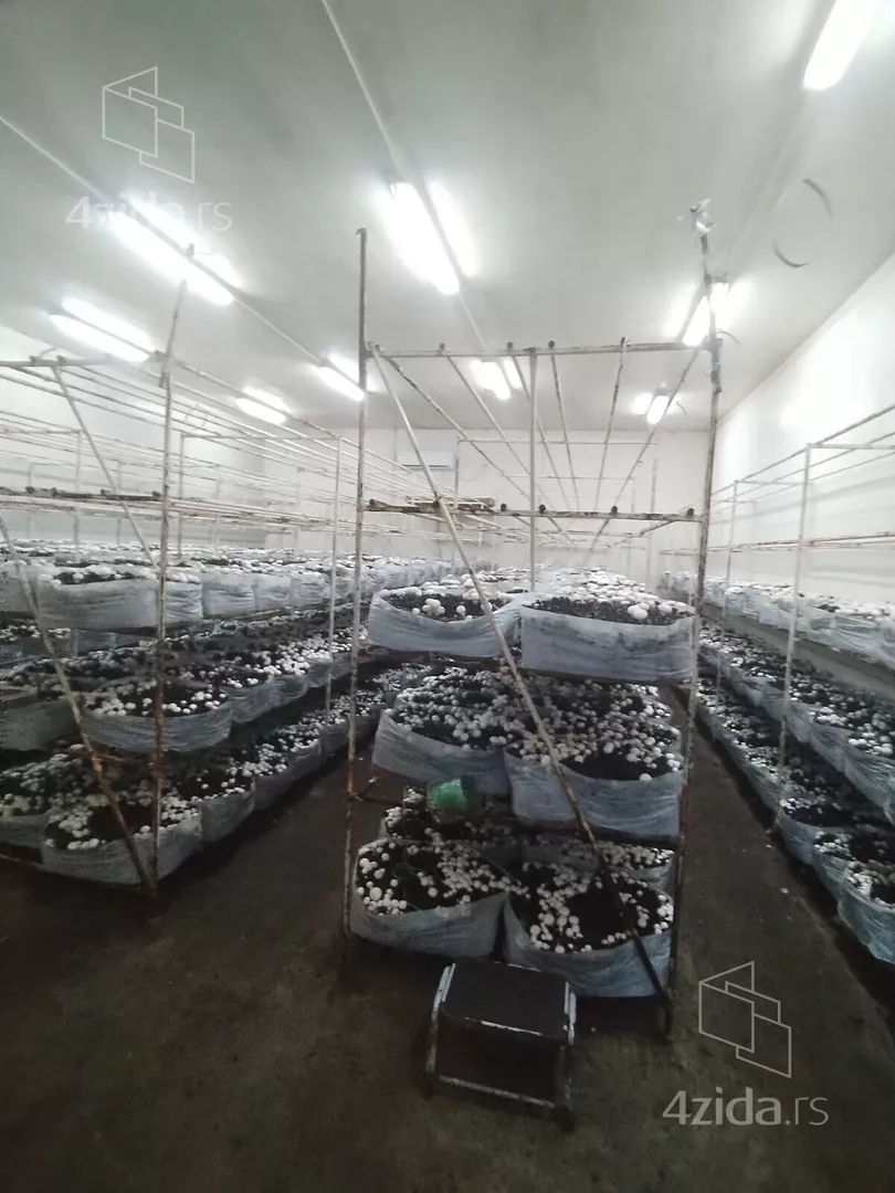 Poljoprivredno zemljište | 4zida