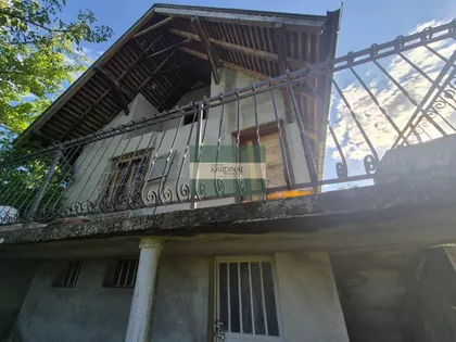 Kolonija | 4zida.rs