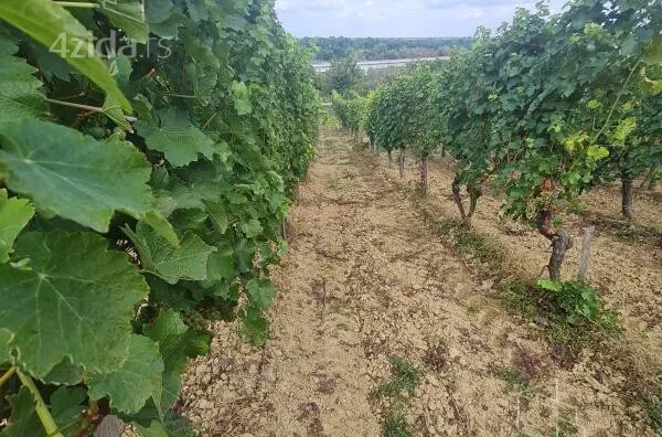 Poljoprivredno zemljište | 4zida