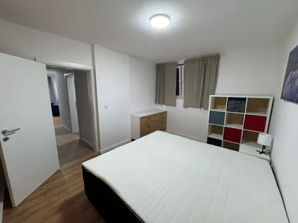 Roze Luksemburg | 4zida.rs