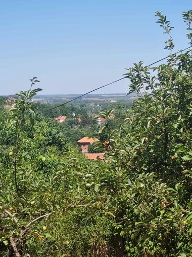 Vuka Karadžića