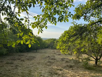 Krčedin | 4zida.rs