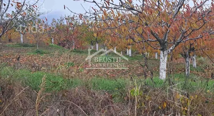 Poljoprivredno zemljište | 4zida