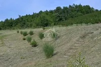 Poljoprivredno zemljište | 4zida