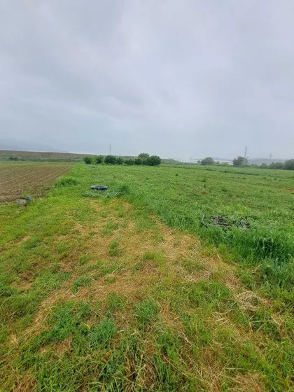 Lozničko Polje | 4zida.rs