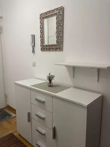 Gospodara Vučića | 4zida.rs