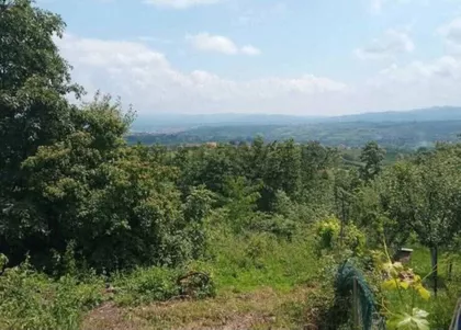Đuriselo | 4zida.rs