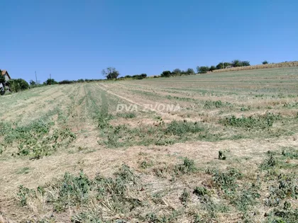 Novi Slankamen | 4zida.rs