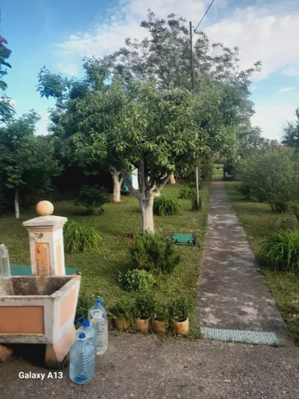 Kneza Bogosava 8V | 4zida.rs
