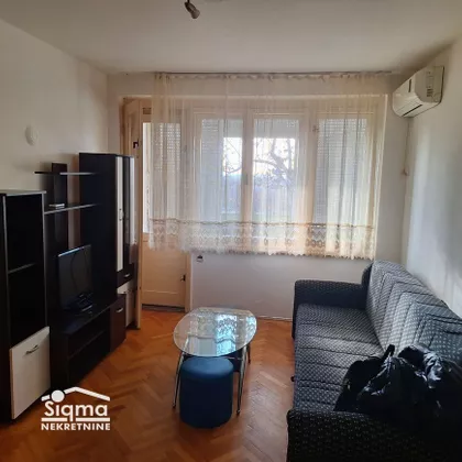 Ruža Šulman | 4zida.rs