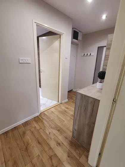 Bulevar Nemanjića 4 | 4zida.rs