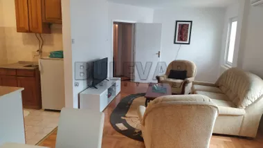 Todora Milovanovića