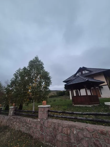 Vidoja Mišovića | 4zida.rs