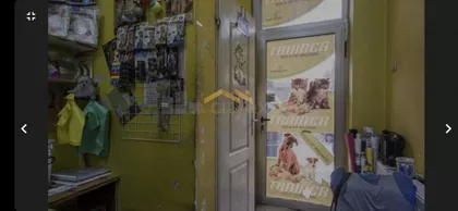 Nova Detelinara | 4zida.rs