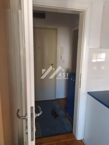 Petra Drapšina | 4zida.rs