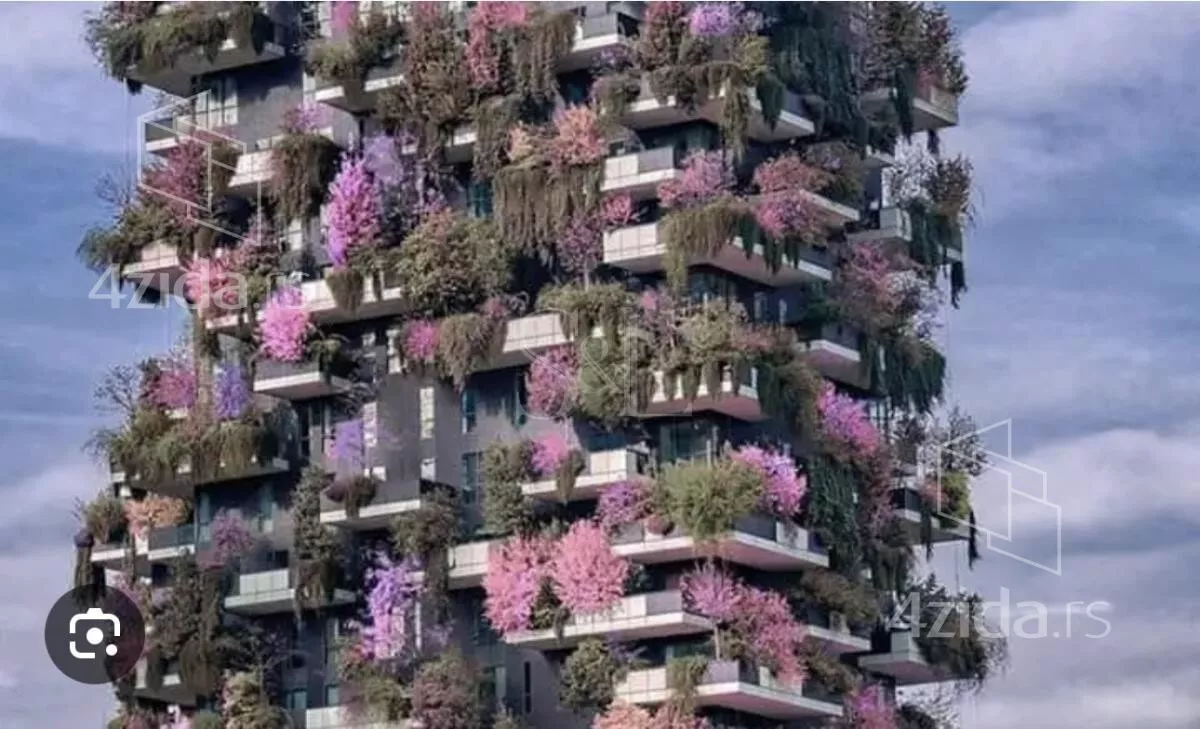 Plac | 4zida