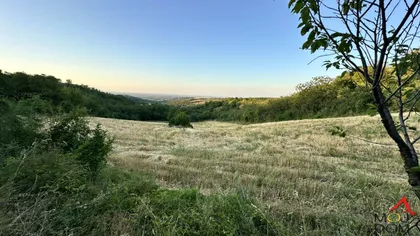 Bukovac | 4zida.rs