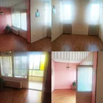 Lesnina, Gradske lokacije, Zrenjanin | 4zida.rs | 4zida.rs