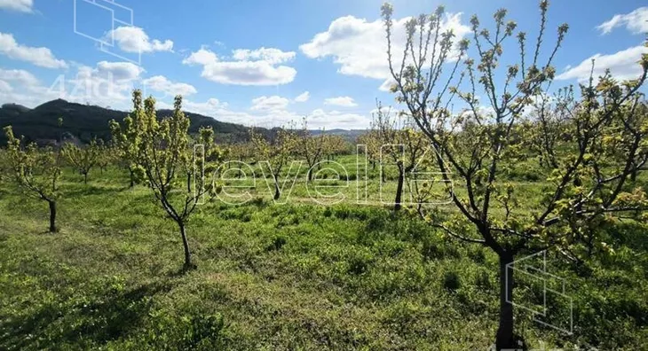 Plac | 4zida